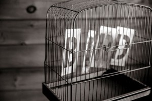 Image of the word bird in a birdcage, from gratisography.com