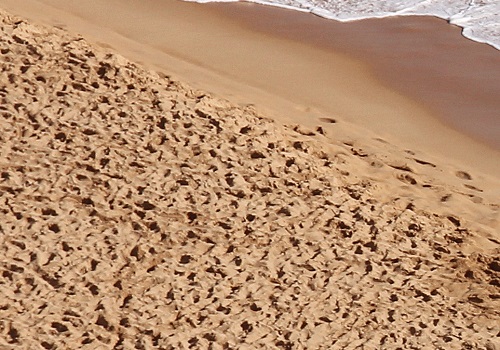 Photo of beach sand; courtesy of unsplash.com