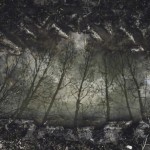 Reflection of trees in puddle of water; courtesy of splitshire.com