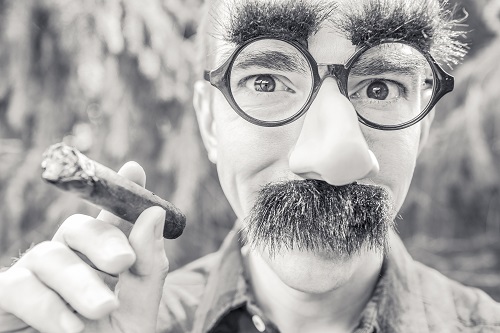 Man in Groucho Marks mask; courtesy of gratisography