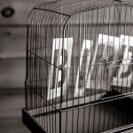 Image of the word bird in a birdcage, from gratisography.com