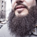 Bearded man, courtesy of gratisography.com